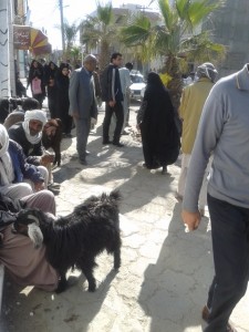 موجی از شور وشوق در محافل مردمی سیستان