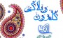 از جریان شیرازی تا رمز معنادار ماه عسل