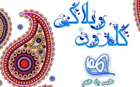 از بوی توطئه غربی تا شور حسینی