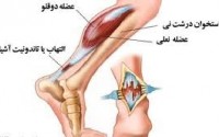 با این ترکیب التهاب را کاهش دهید