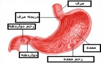 درمان عفونت میکروبی معده